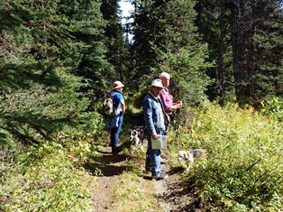 nptgs's tweet photo. Take a trip down the heritage highway by biking/hiking the newly restored Stanley-Barkerville section of the Cariboo Waggon Road this weekend! https://t.co/YJb7WY85So #@nptgs #@cwrrp https://t.co/G5OJcynem1