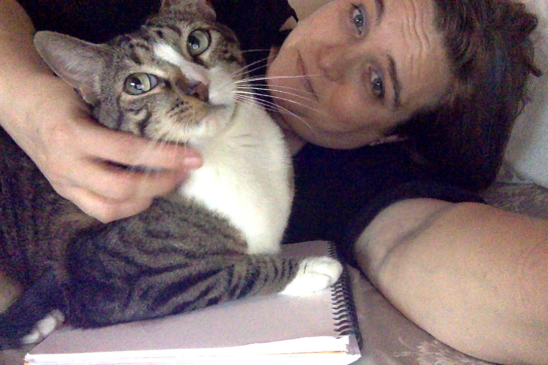 BarbMakesThings's tweet image. me: sprawls out to sketch
solo:
#art #cat #incompatible