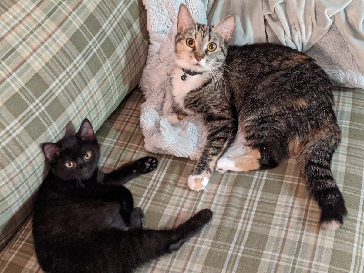 She's grown up a bit since then <3