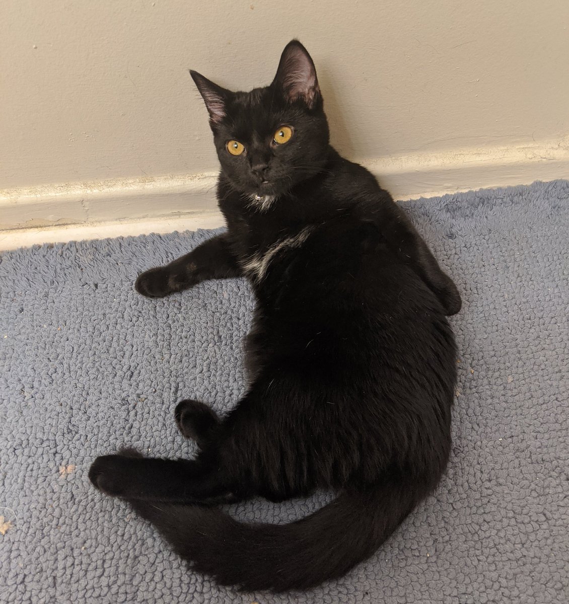 She's grown up a bit since then <3