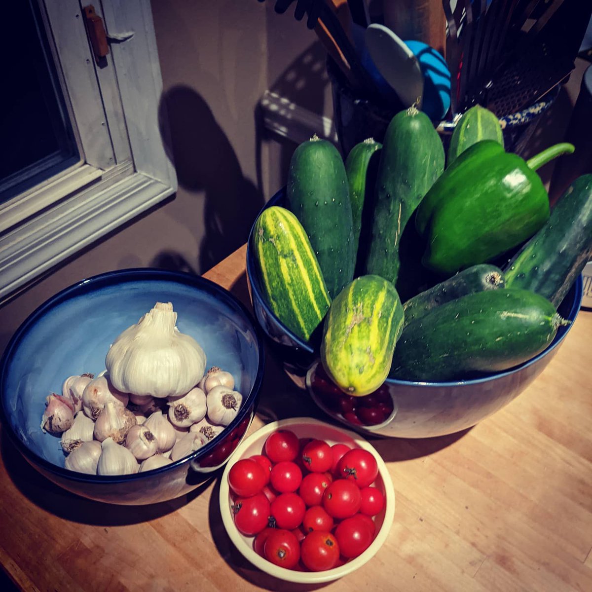 Suburban_Stead's tweet photo. Not a bad harvest we're having this year. This was all in the last day or two with more being had in the past few weeks and still more to come! #gardening #selfsufficient #suburbanhomestead #suburbangarden https://t.co/IOCmwA4ZbS