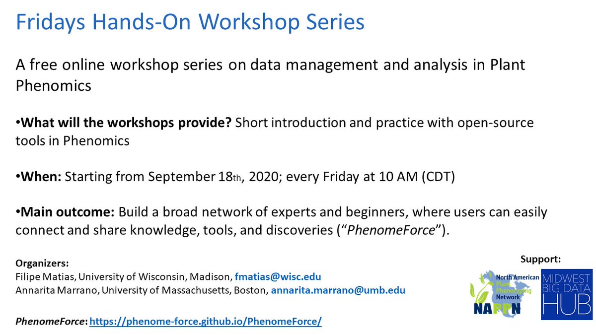 ForcePhenome's tweet photo. Data analysis is often the most challenging part of digital phenotyping! If you are interested in learning available, open-source tools in plant phenomics, join us in our free, online workshop series "Fridays Hands-On" in collaboration with @NAPPN_org https://t.co/5y0XfBmemp