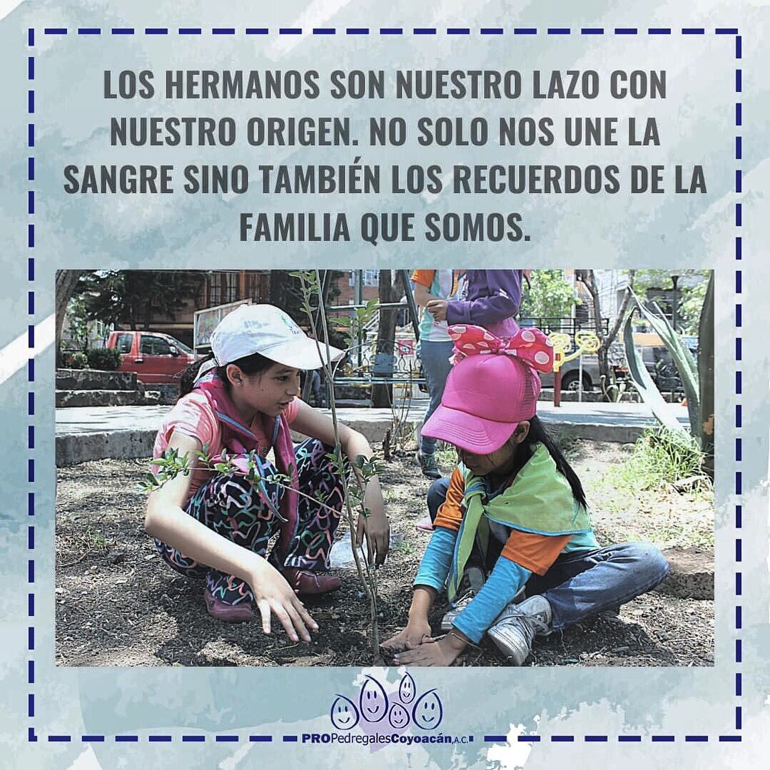 ProPedregales's tweet photo. #PromoviendoEmpoderamiento
¡Hoy es el Día Mundial del Hermano! Esta celebración rinde honor a esas personas con las que crecemos, peleamos y que queremos mucho, que nos heredan su ropa y juguetes (o al revés). En general, a las relaciones fraternas y al vínculo emocional. https://t.co/E1mBJhZ5ZL