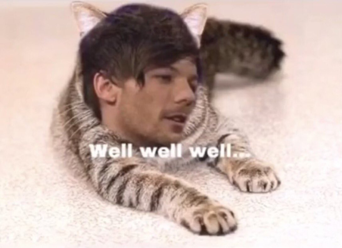 Kat87176091's tweet photo. This is legit! Meow!๐ @Louis_Tomlinson #LouisTomlinson #tommotheloving #Tommoway #OneDirection #OneDirection2020 #OneDirectionReunion #1dbillboard2020 #1dcomeback2020 #1dinfinity #1Disback #1disstillthebiggestboyband #1dreunion #1dstillstrong #1dunrelisedsongs #1dzoomconcert https://t.co/g8xh1nPEkY