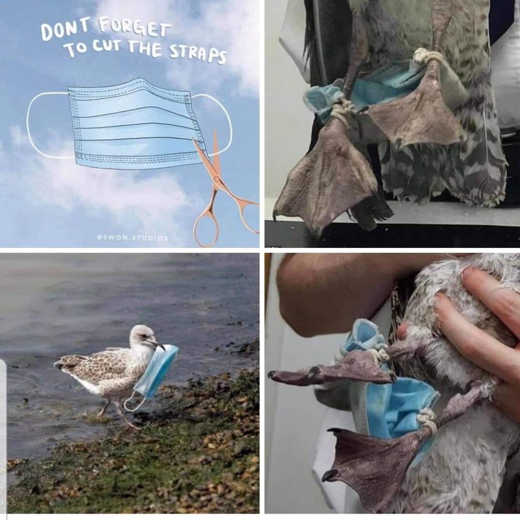 Veg_Gee's tweet photo. Cut the straps. https://t.co/LSeJhT8A2y