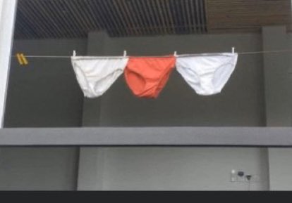 ianbremmer's tweet photo. Lukashenko ordered all red and white (pro-democracy) Belarus flags removed from buildings. So the people are making do... ht @ValzhynaMort https://t.co/yES2REVB2C