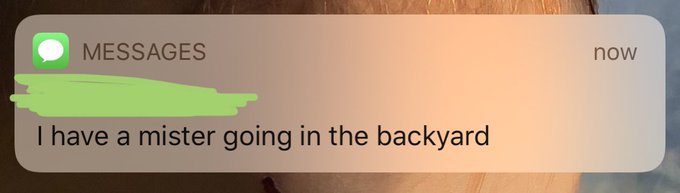 Sometimes my mom texts me the most cryptic messages, like a man. Is this an invitation, or a flex? Unsure