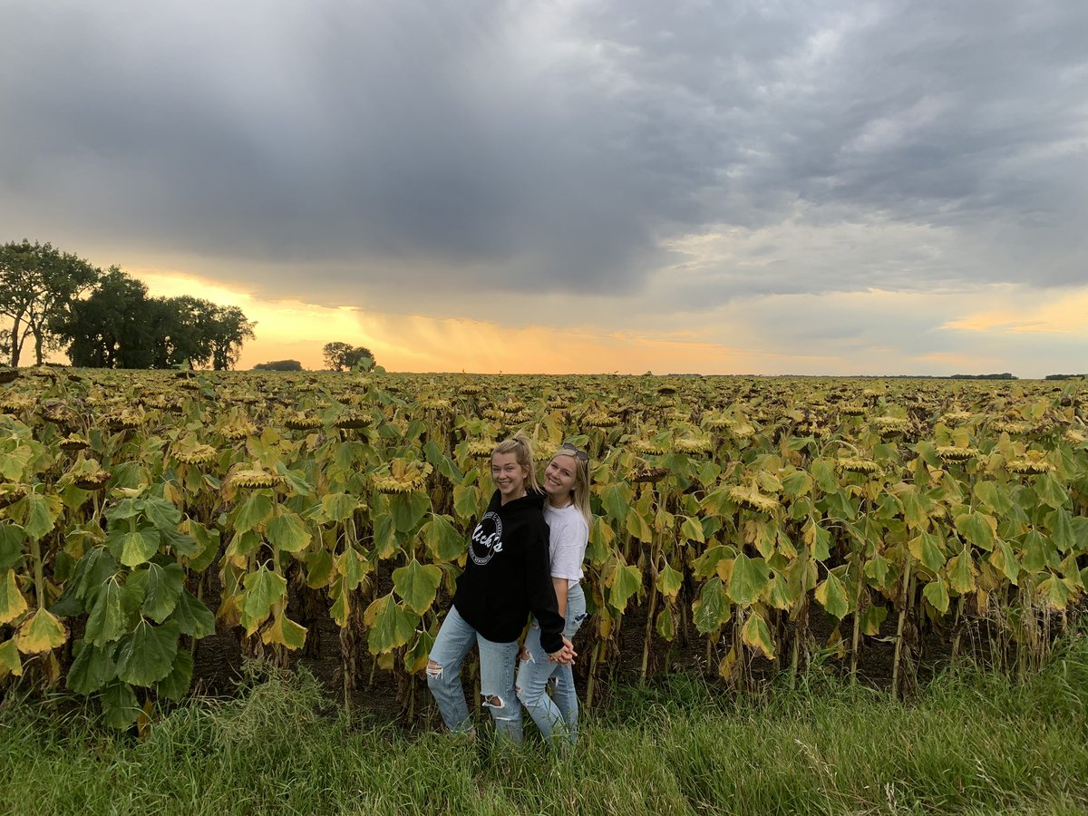kenzstgermain's tweet photo. omg found the best sunflower field 😍🙌🏻🙏🏻 https://t.co/rlViF27e8S