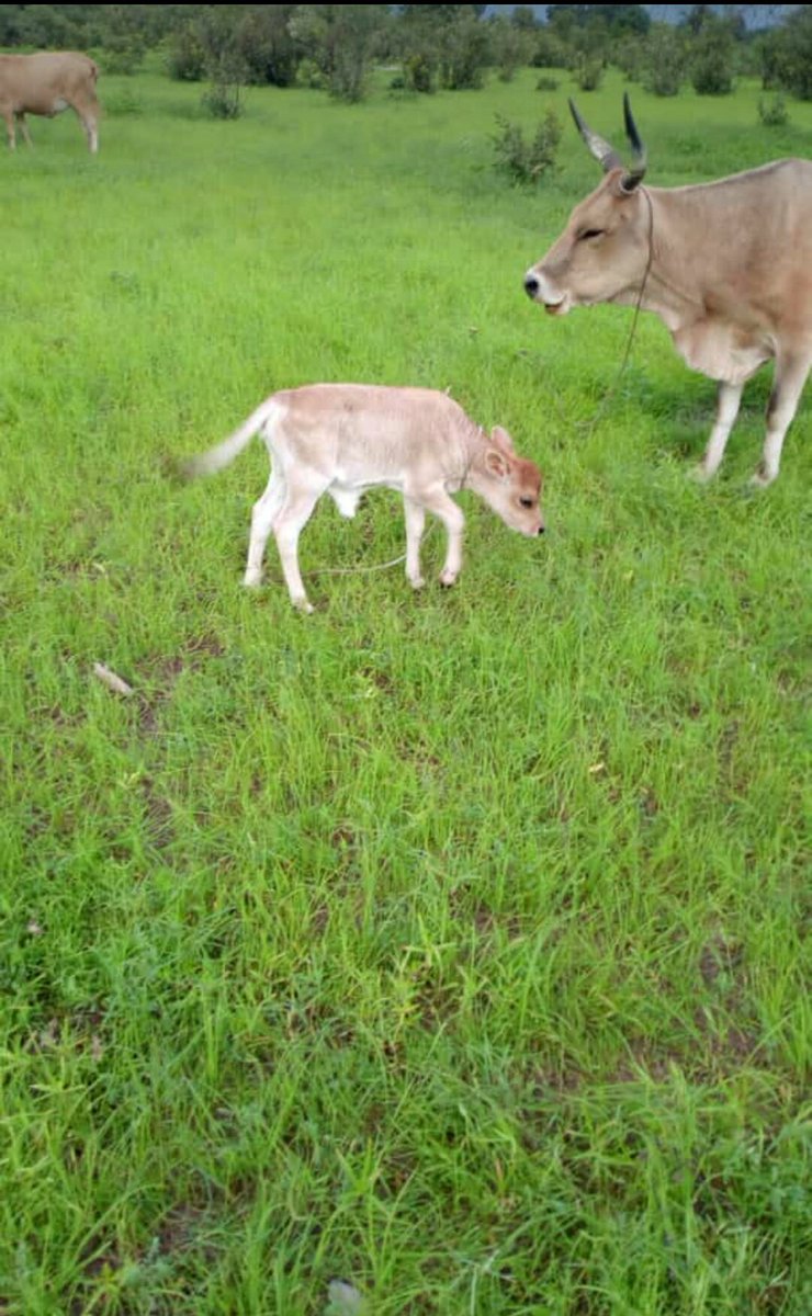 modoub20's tweet image. Beautiful nature.