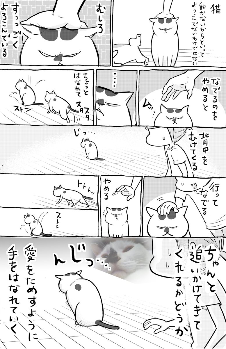 犬と猫どっちも飼ってると、愛あふれて毎日たのしい。 