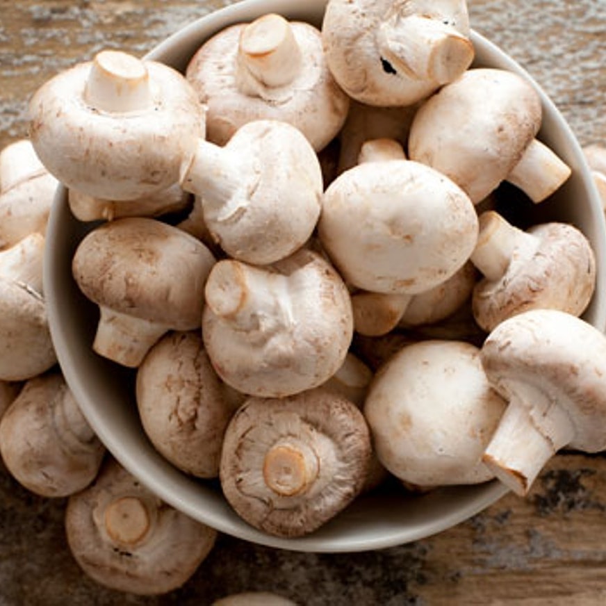 nobullmuscle's tweet photo. #Nutritioninfo Mushrooms are packed with B vitamins that increase energy levels! Check out this healthy cookbook filled with recipes using mushrooms!👉 https://t.co/Yu7uQY7get 👈
#nutrition #healthiswealth #mushrooms #healthycooking #antioxidents #itstartsinthekitchen #foodisfuel https://t.co/ZY4l05V1zh