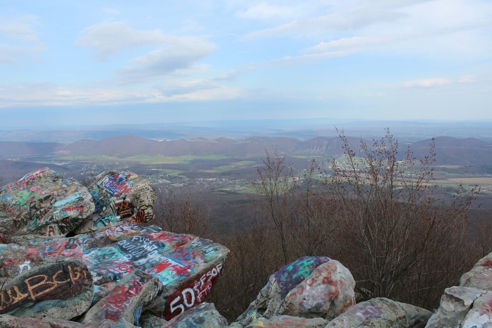 livdev21's tweet image. frostburg mood board