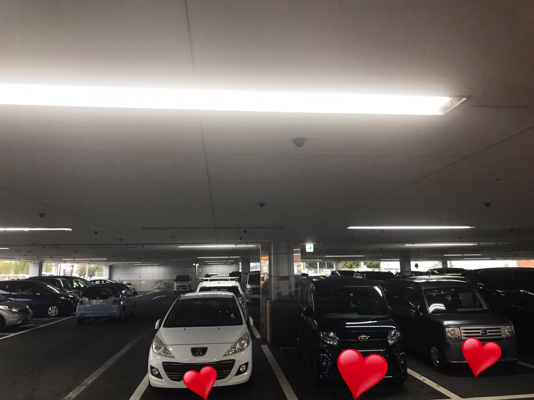 車避難 Twitter Search Twitter