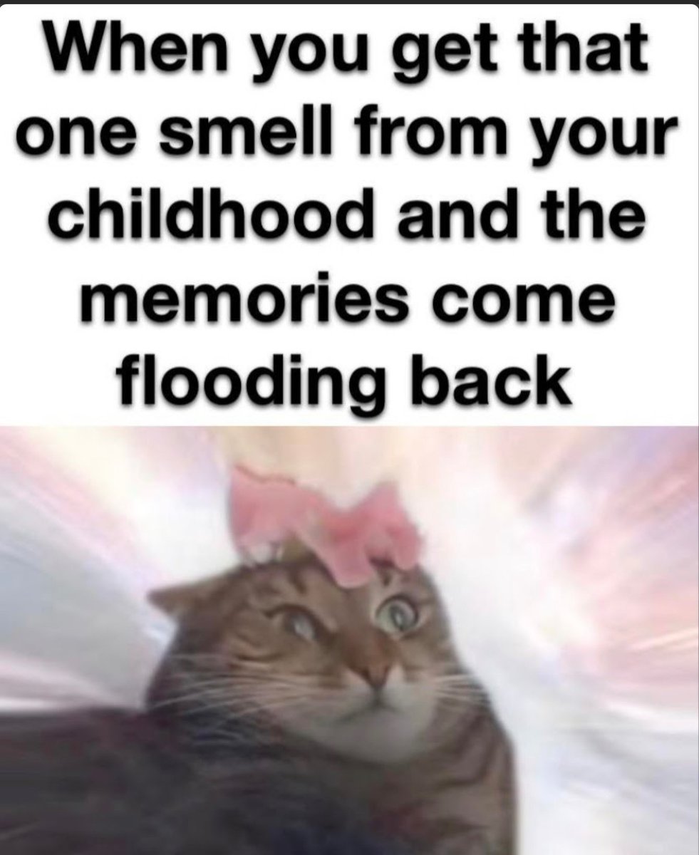 Цитаты had better. The man i think i know. Остин цитаты. Come to realization. Real friends quotes.