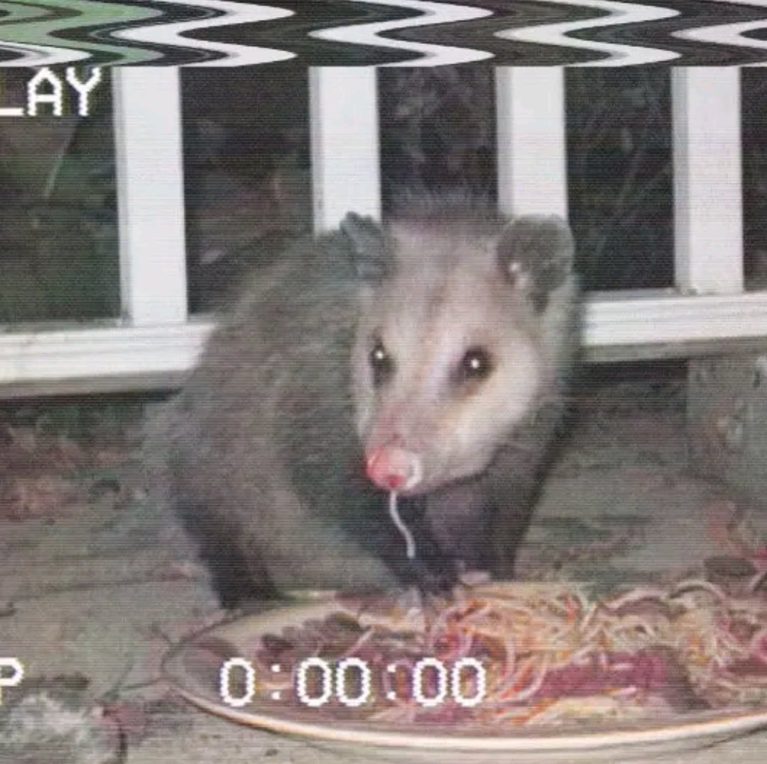 Gay Kwite tweet media