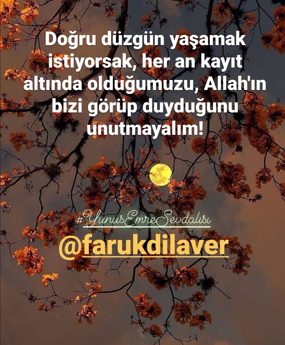 #YunusEmre #insan #yaşam #kayıt #an #bilinç #Allah #Hak #Dost #FarukDilaver #FD #toprak #şükür #rıza #kitap

<a href="/Faruk_Dilaver/">FARUK DİLAVER</a>