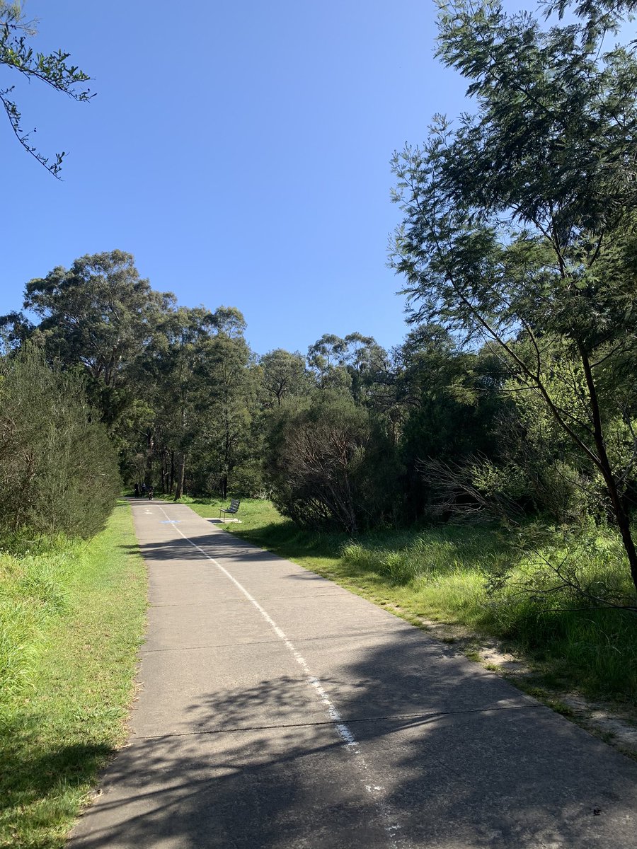 fionashirley76's tweet photo. Perfect spring day for our one hour of outdoor exercise #isowalks #melbournelockdown #melbourne #spring #sunshine https://t.co/IlFps4y95c