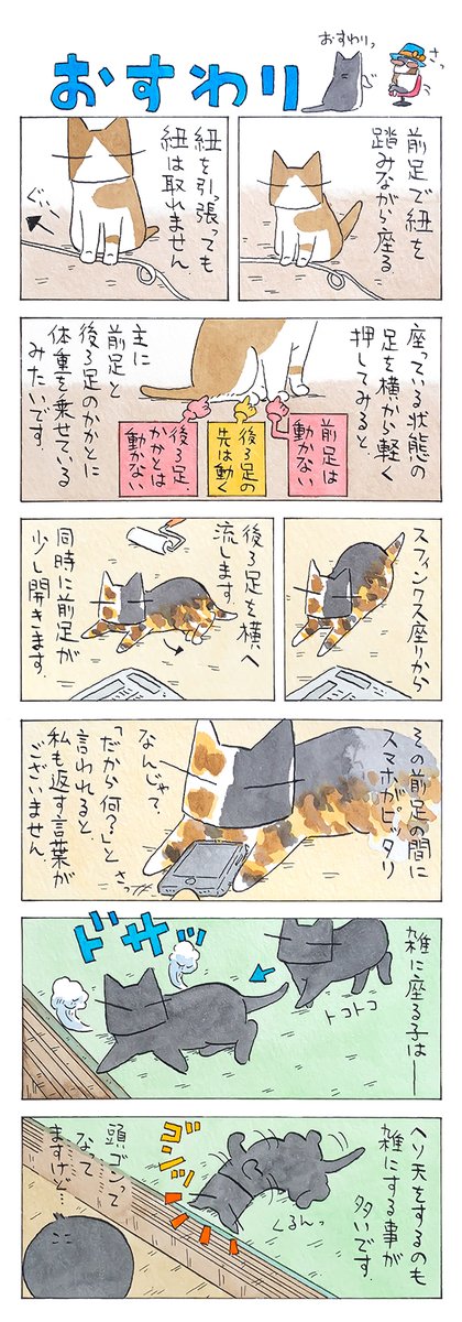 「座る」
おすわりネタをあれこれ思いつくままに。
猫の「おすわり」は人間のそれよりも、
多彩な気がします。
(久保智昭さんの「猫色スケッチブック」)他一枚更新しています。⇒https://t.co/78fTygpCIB 