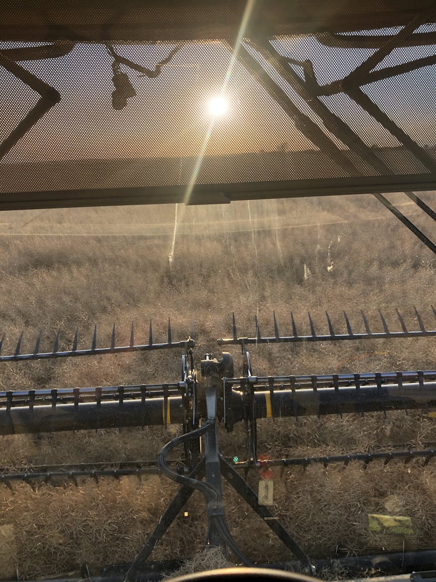 Who builds a sun shade that blocks no sun?