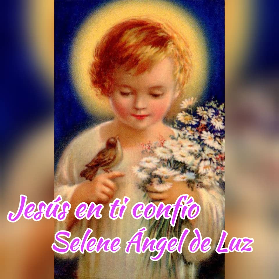 seleneangeldluz tweet picture