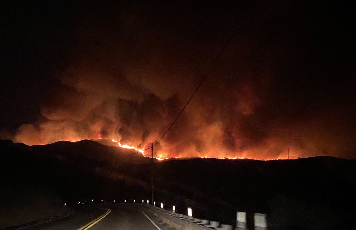 B W Rex, JD tweet media