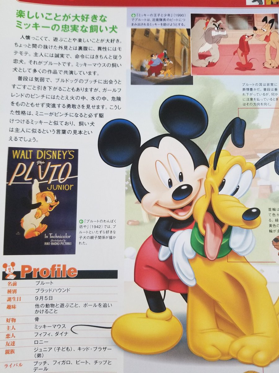 𝙒𝙖𝙡𝙡𝙖𝙘𝙚 １日遅れちゃったんですけど昨日はプルートのスクリーンデビューの日でした ねずみに飼われる犬ですが表情豊かでとても忠実で賢いブラッドハウンド 刑務所から脱走したミッキーを追跡するために放たれた警察犬を原点として発展した