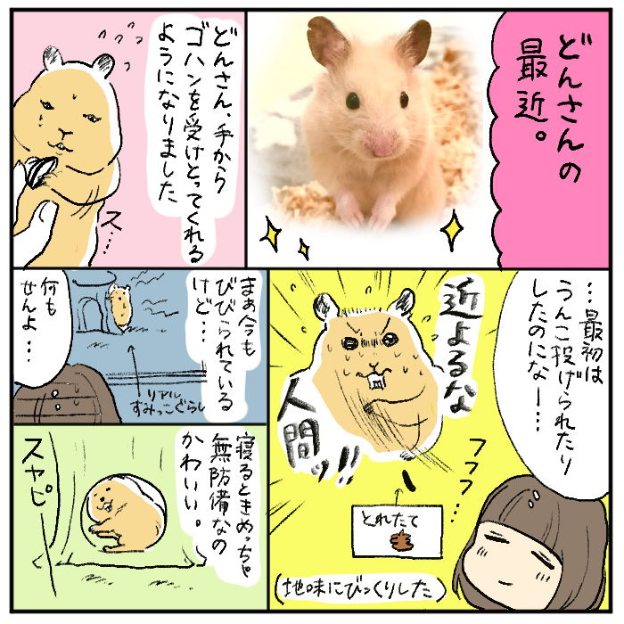 どんさんぎんさん日記 