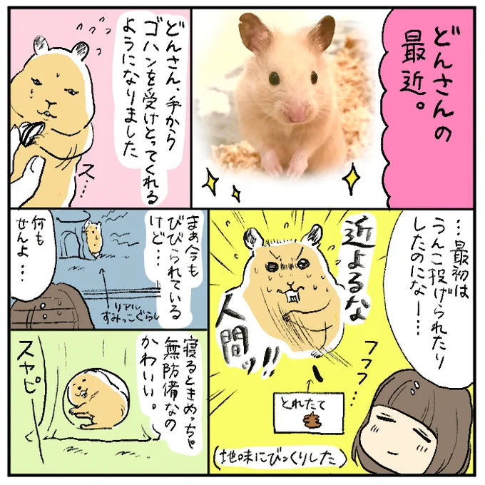 どんさんぎんさん日記 