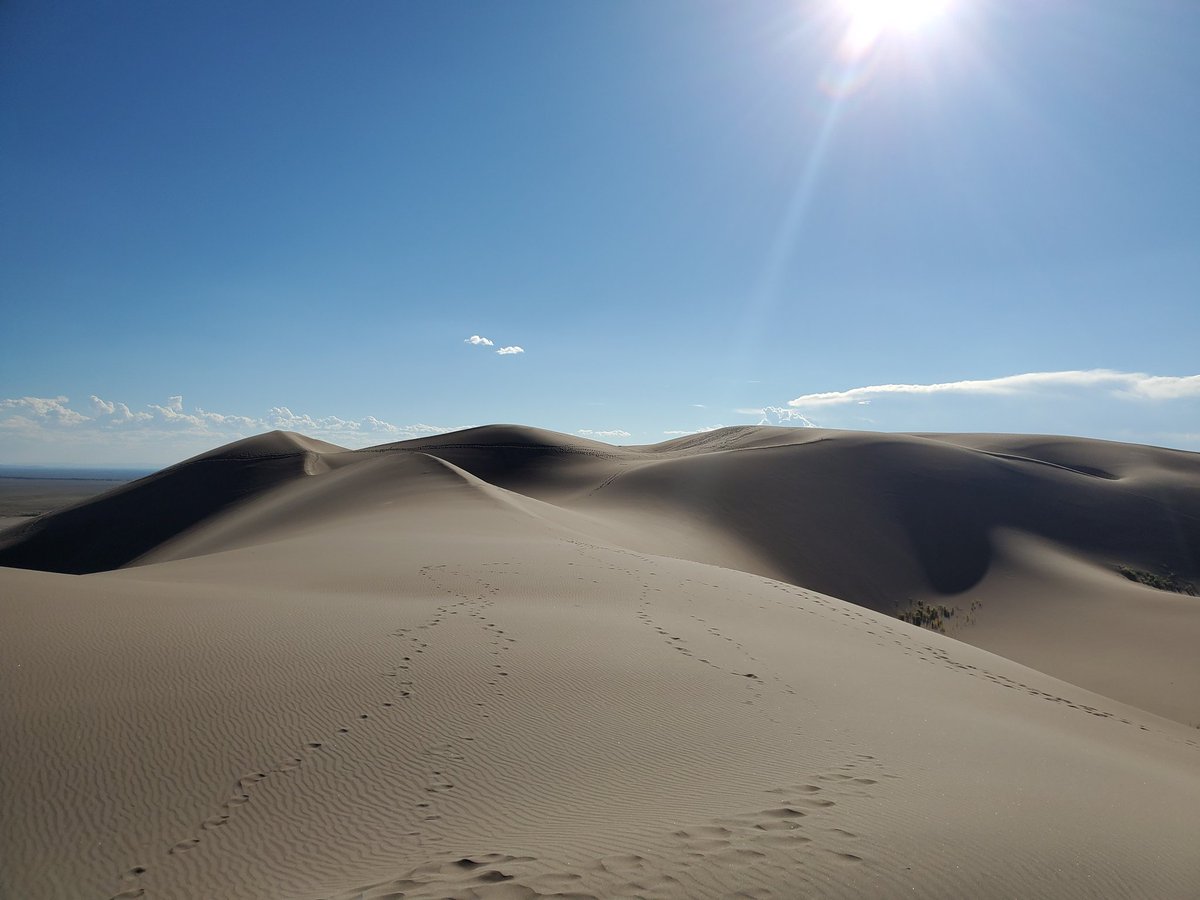 Great Sand Dunes✅
<a href="/Deb_Altshuler/">Deborah Altshuler</a> <a href="/BethA_Koenig/">Beth Koenig Altshuler</a>