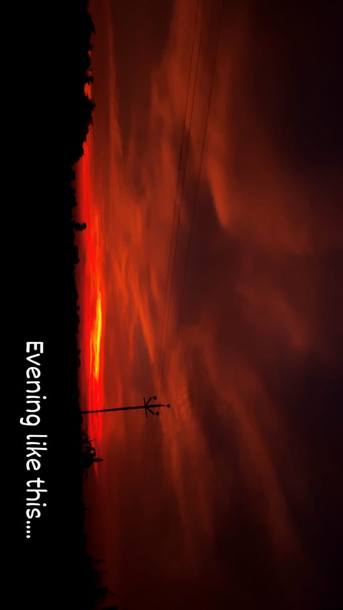 Shubhamkhatale6's tweet photo. Evening like this......♥️💞
.
.
.
.
#nature #photography #birds #beautiful #amazing #beauty #Photos #evening #sunset https://t.co/aTz5GhL01I
