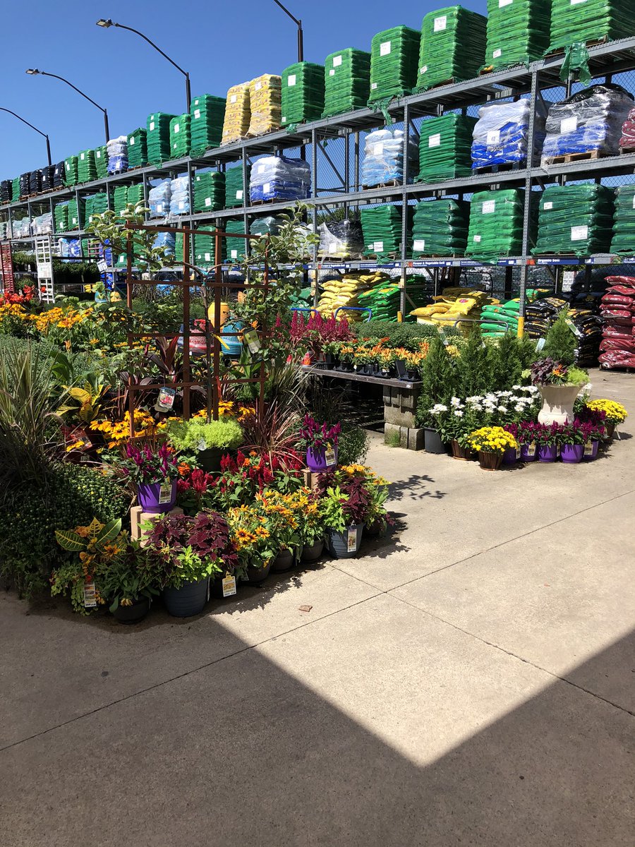 Shannon Moon (@slmoon2772) on Twitter photo Very nice job team #477 Wheelersburg OH! The garden center looked awesome today. <a href="/BenitoKomadina/">Benito.Komadina@Lowes</a> <a href="/MetrolinaGHS/">MetrolinaGreenhouses</a> <a href="/mikemcdonaldMGH/">Mike Mcdonald</a> Very nice job team #477 Wheelersburg OH! The garden center looked awesome today. <a href="/BenitoKomadina/">Benito.Komadina@Lowes</a> <a href="/MetrolinaGHS/">MetrolinaGreenhouses</a> <a href="/mikemcdonaldMGH/">Mike Mcdonald</a>