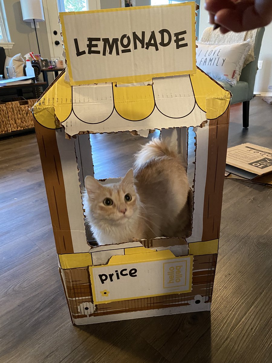 zjnewsom's tweet photo. We don’t have a baby yet but we got our first @HelloBello box today and had a volunteer to man our #HBLemonAid stand! Had to do it to support the cause! https://t.co/1yiWqijuM1