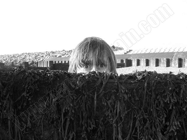 scarletmonahan's tweet image. seasider  #ArtOnline 1
 #wfh 7