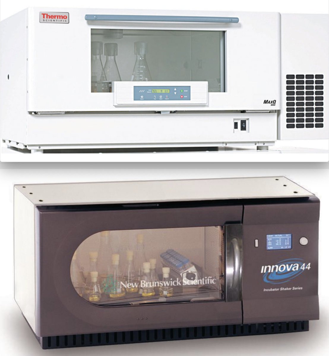 Asma Hatoum-Aslan, PhD tweet media