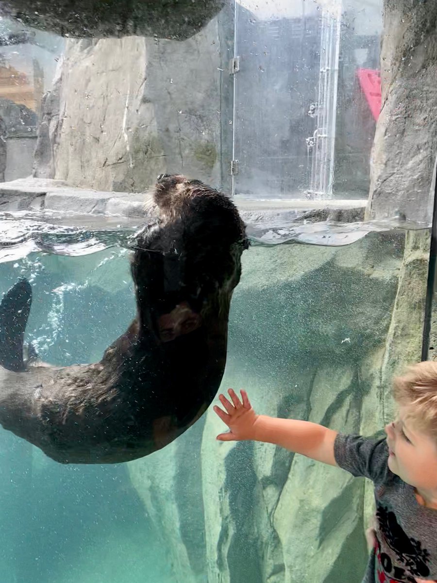 Rob MacKay-Dunn 🇨🇦 tweet media