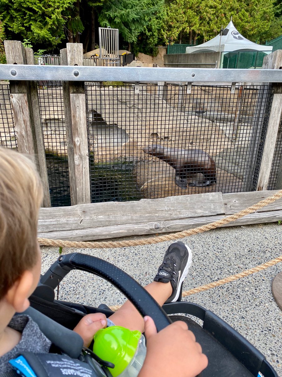 Rob MacKay-Dunn 🇨🇦 tweet media