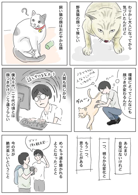 顔つきの話 
