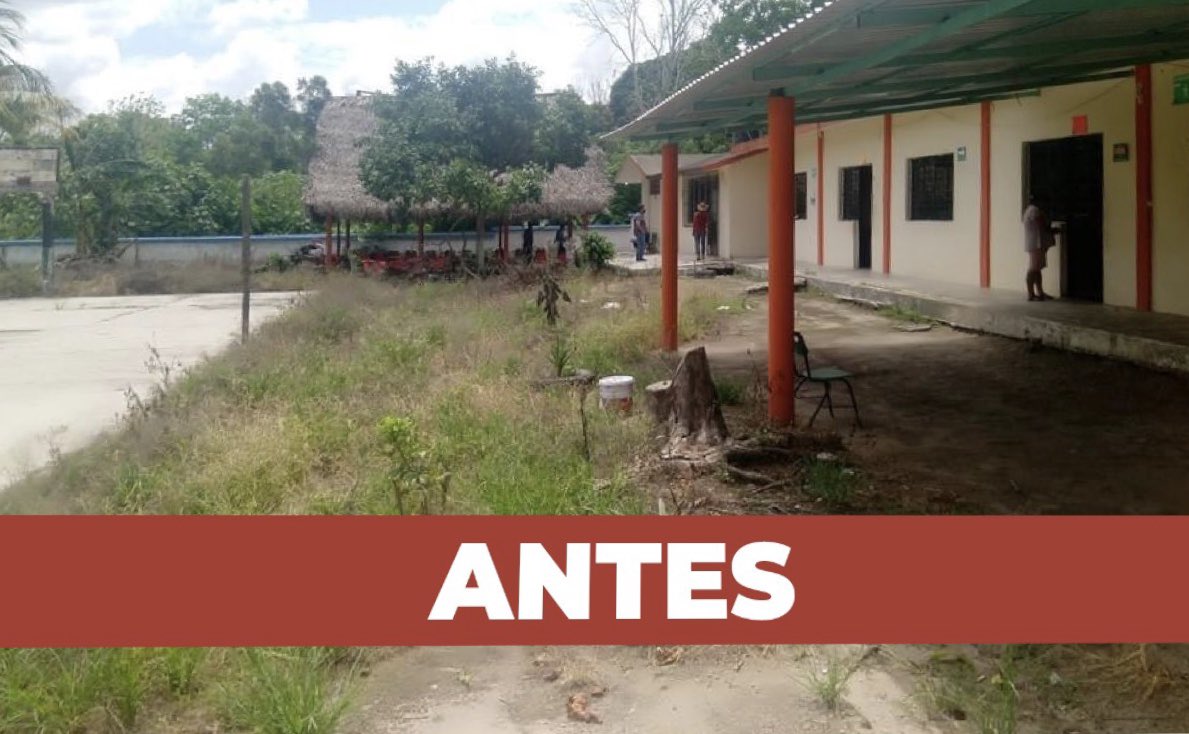 CuitlahuacGJ's tweet photo. Los gobiernos neoliberales apostaron al abandono de la infraestructura educativa. 
Nosotros, poco a poco, estamos rescatando nuestras escuelas, para muestra un botón, miren el cambio del telebachillerato Paso del Progreso, en el municipio de #Tecolutla.

Estamos cumpliendo. https://t.co/8BTpC5f0VJ