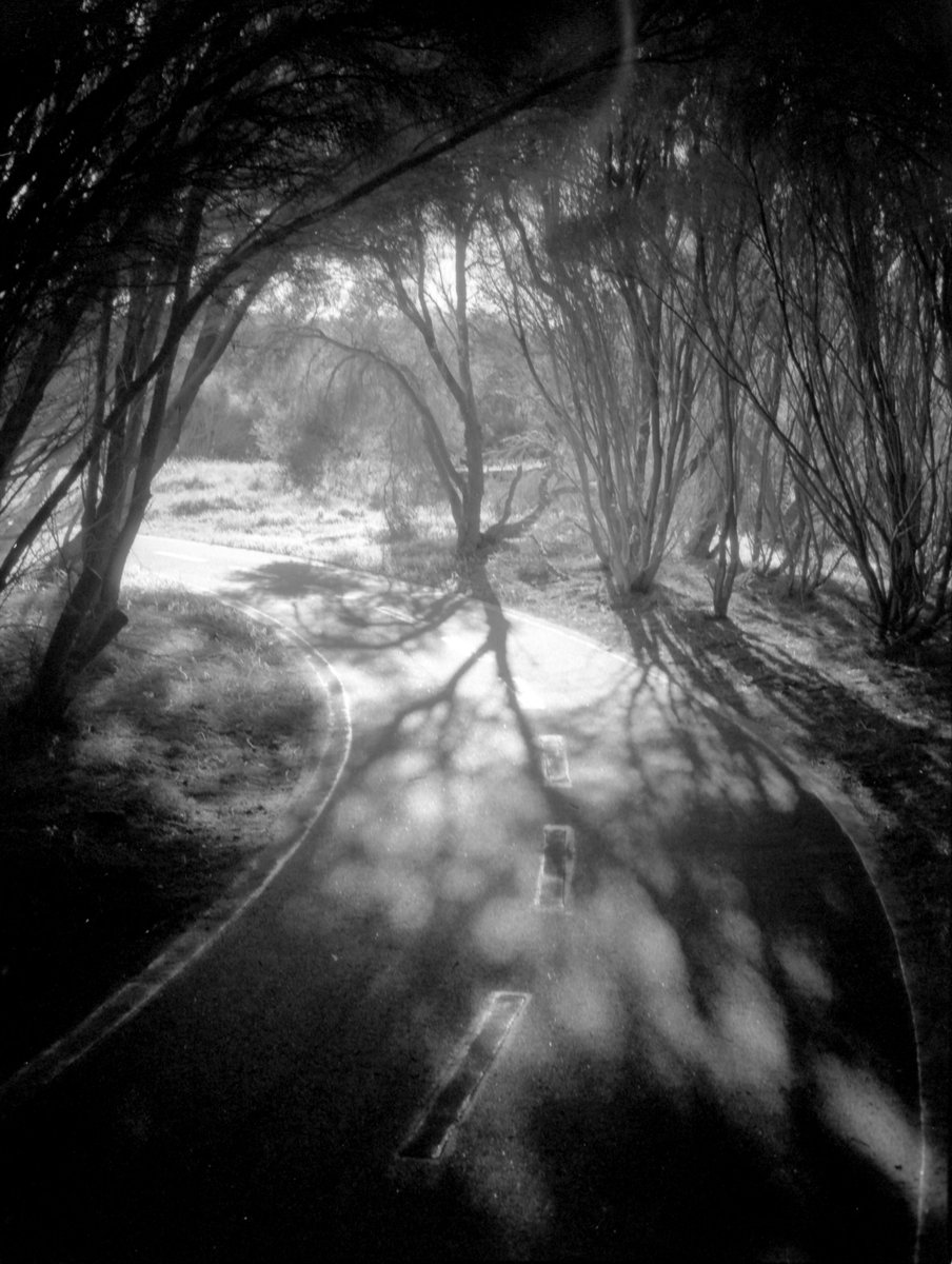 fin1308's tweet photo. We've been here before

📷 #40mm #CVNoktonSC #yellowfilter
🎞️ @KodakProFilmBiz #Tmax100 
⚗️ @ilfordimaging #ILFOTECLC29 

#Biketrack #CYOConnor #SouthFreo #film #filmphotography #believeinfilm #filmisnotdead #voigtlander #nokton #bessaR3M #epsonv550 https://t.co/osqDeOcnCq