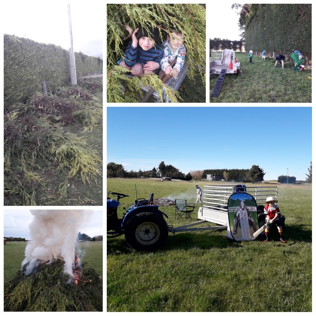 NaidMull's tweet photo. #gdite Photogrid from mLearning course https://t.co/wxRI8uvRCy