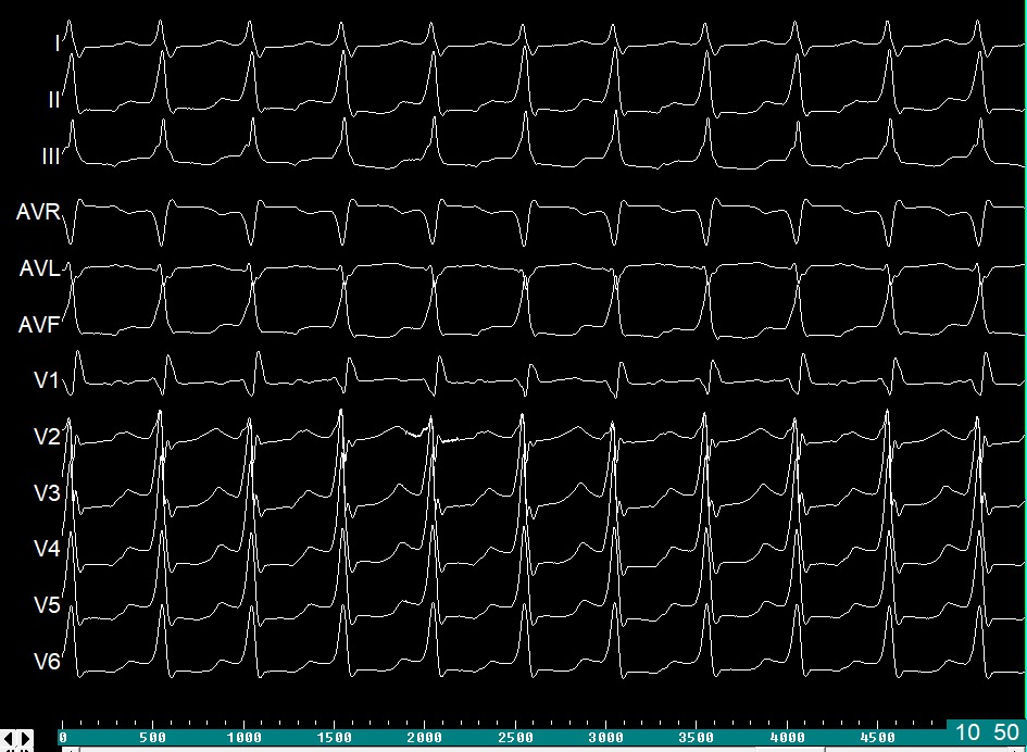 Renner Raposo Pereira tweet media