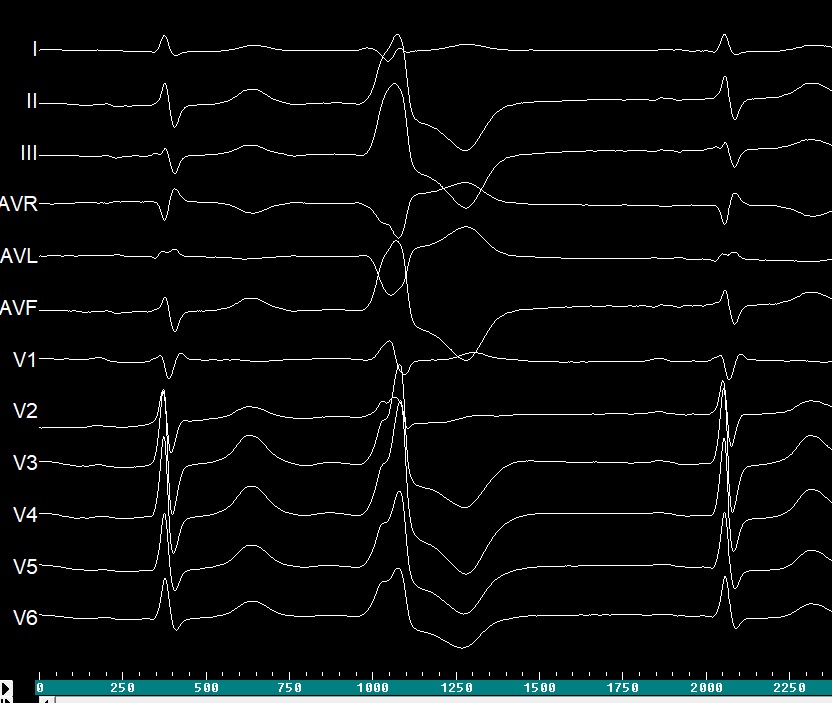 Renner Raposo Pereira tweet media