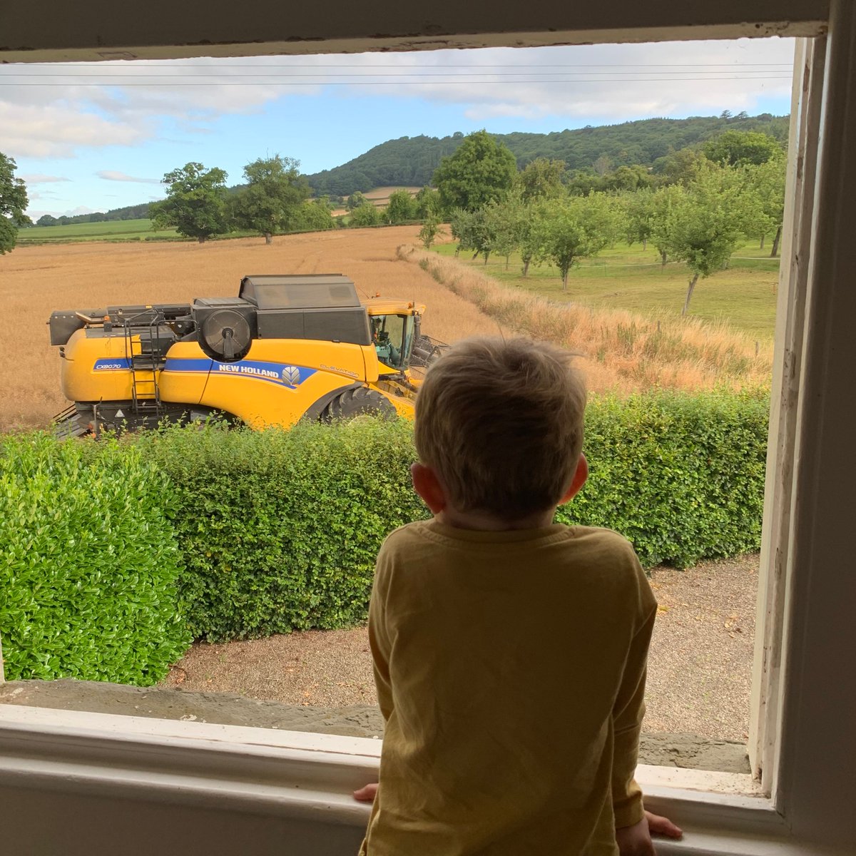 2-year-old Benjy Powell, looking forward to driving one of these one day 🚜😍

📸 Cathy Powell

#harvest2020
#harvest20
#farminguk
