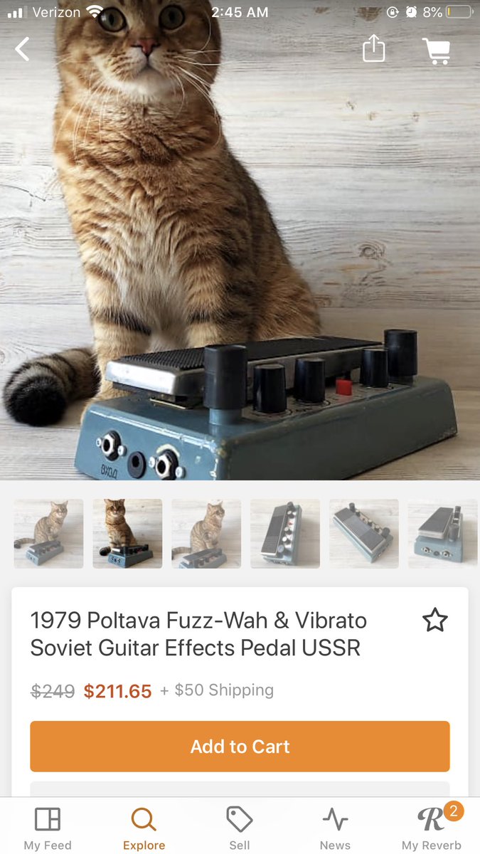 MalwareForFree's tweet photo. My new favorite person is the guy who sells weird, Soviet guitar pedals on reverb but always post pictures on his cat: https://t.co/VLVbxnUSrd