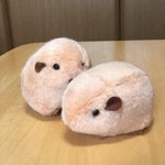 グンディがかわいすぎて作られたグンディのぬいぐるみがこれまたカワイイ‼