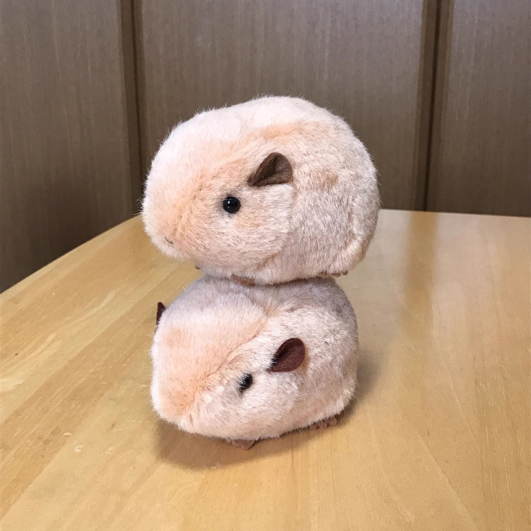 グンディがかわいすぎて作られたグンディのぬいぐるみがこれまたカワイイ‼