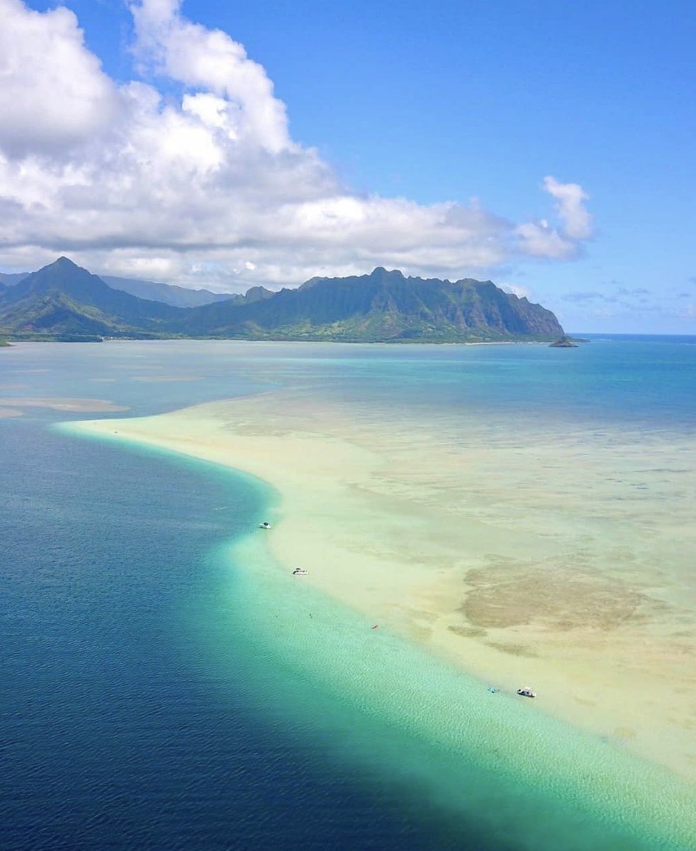 iamshipp's tweet photo. We need out of this #lockdown #Oahu #Hawaii 🙏🏽 https://t.co/X4V45ZWwdm