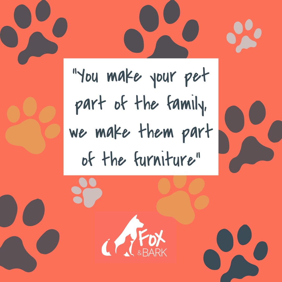 FoxandBark tweet media