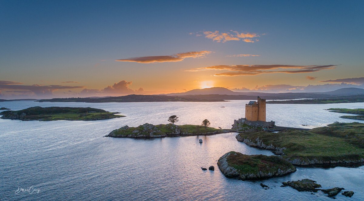 Dominic Casey tweet media