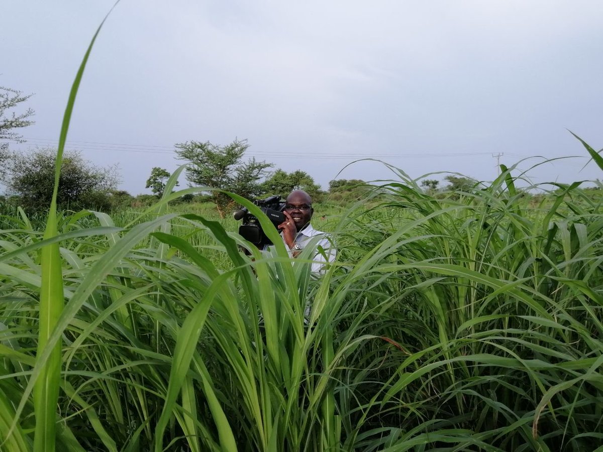 When I was born I was identified as a baby boy. When I was among more people from different ethnicities in  #Gambella, I was identified as an Anuak. When I left my hometown in Gambella for Addis Ababa, I was identified as a guy from Gambella.